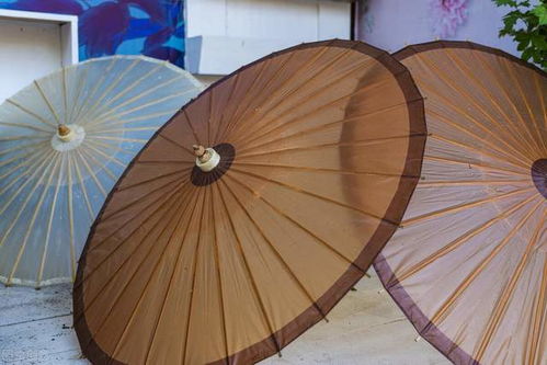 數(shù)字化升級(jí)，共創(chuàng)美好未來(lái)——紙世界網(wǎng)的紙制品銷售新篇章